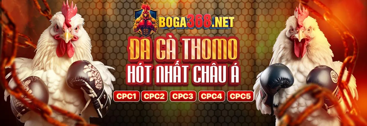 Hình ảnh đá gà trực tuyến neo88 win